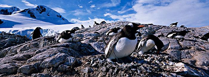 麻将卡牌构筑肉鸽游戏《我在地府打麻将》Steam页面 年内发售